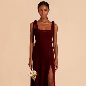 Birdy Grey Alex Dress Velvet Cabernet